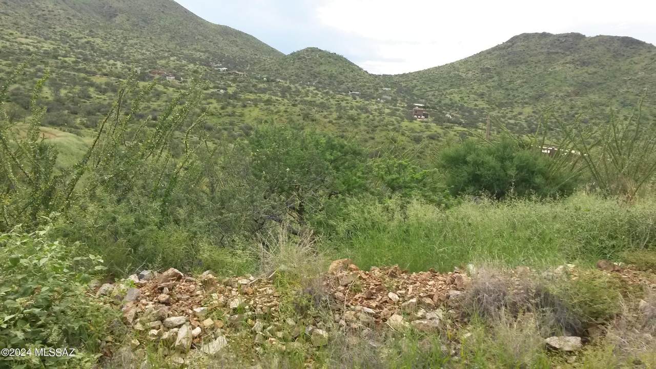 https://bt-photos.global.ssl.fastly.net/tucson/1280_boomver_1_22525009-2.jpg