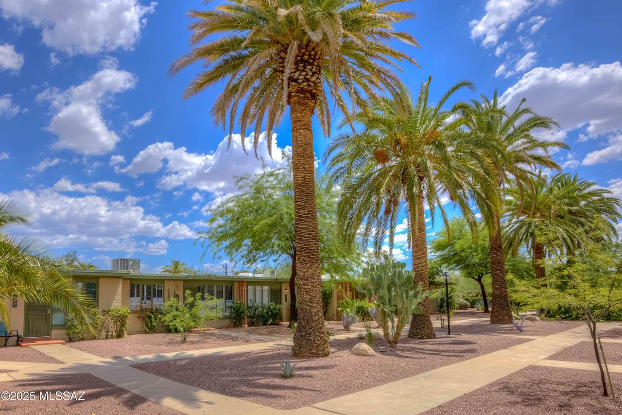 https://bt-photos.global.ssl.fastly.net/tucson/1280_boomver_1_22525221-2.jpg