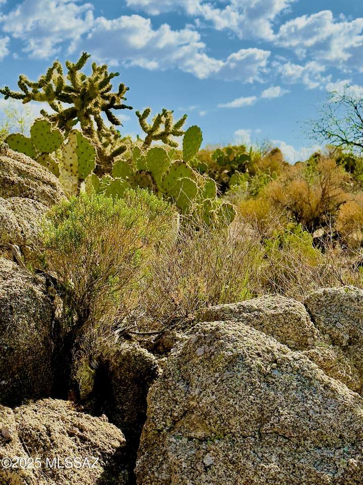 30735 Charles Road - Photo 1