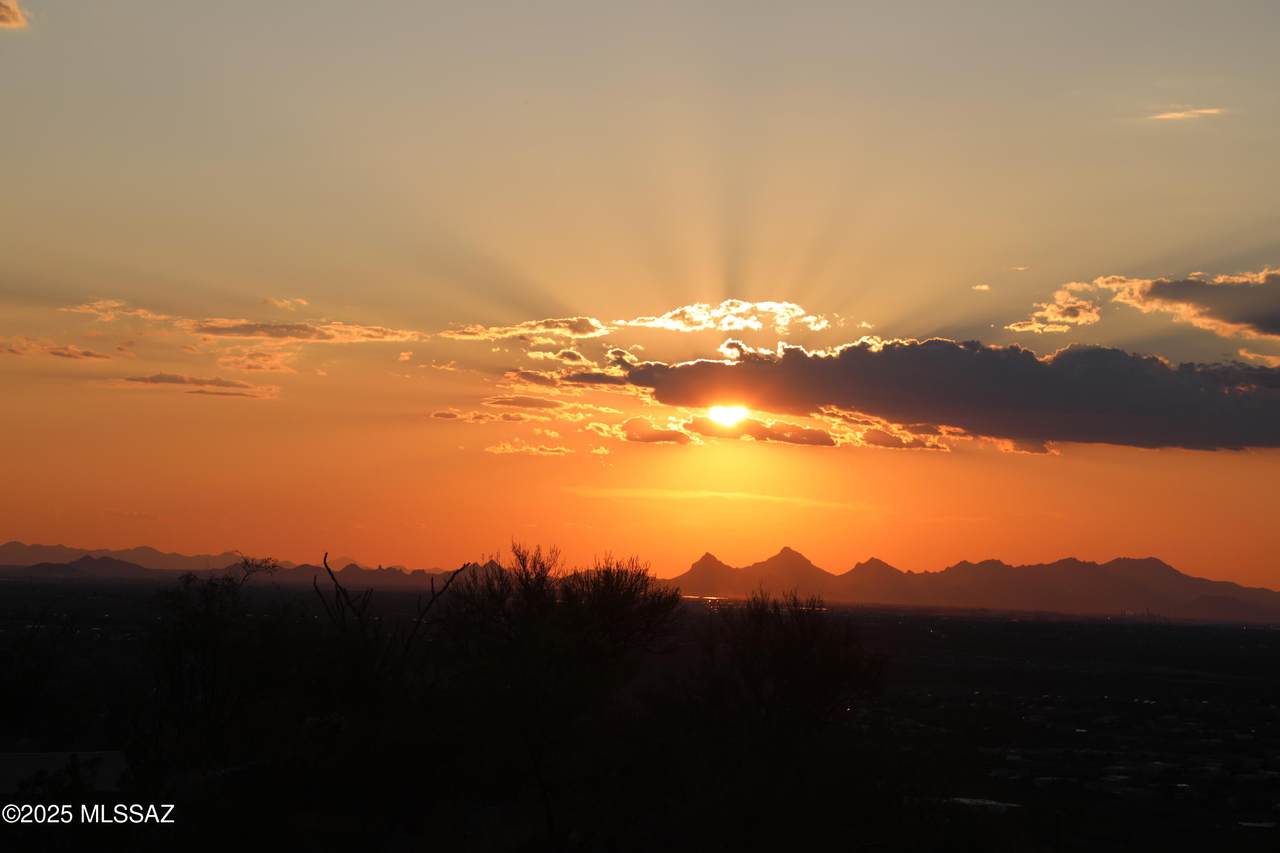 11175 Witter Piano Mountain Place - Photo 1