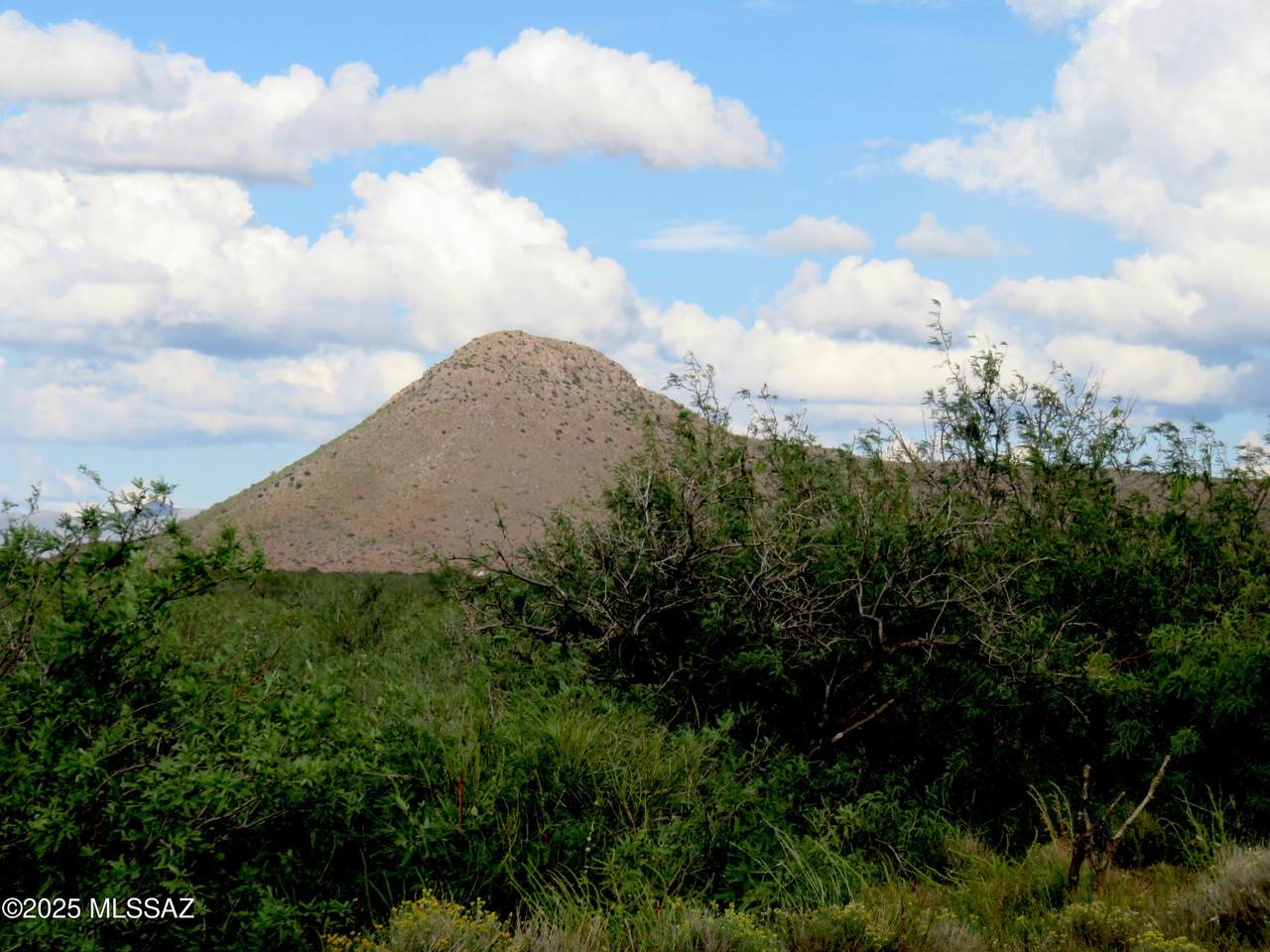 TBD Austin Henely Road - Photo 1