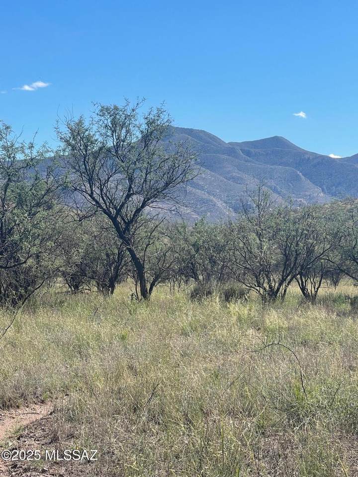 106 Tanglehead Lane - Photo 1