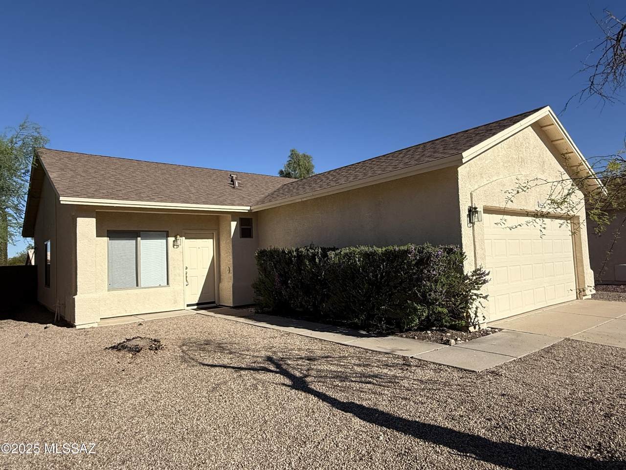 8628 Desert Dove Drive - Photo 1