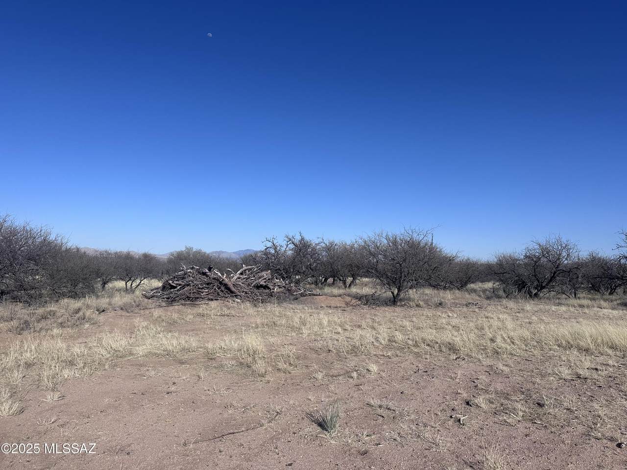 4ac Faded Love Lane - Photo 1