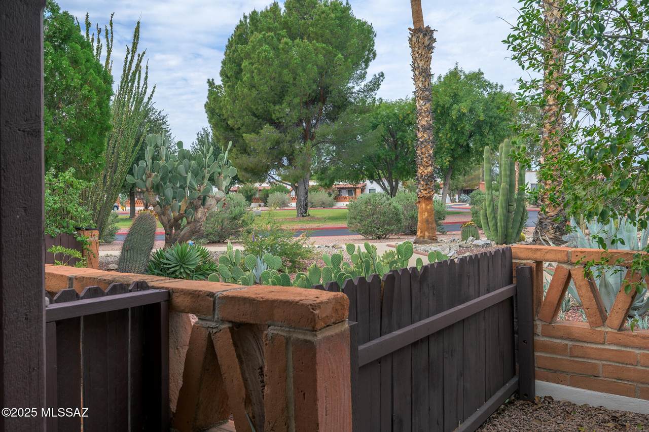 435 Paseo Lobo - Photo 1