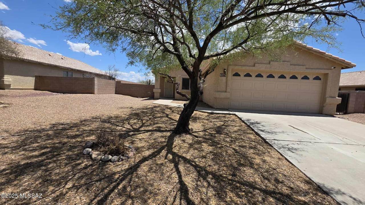 6275 Velvet Senna Drive - Photo 1