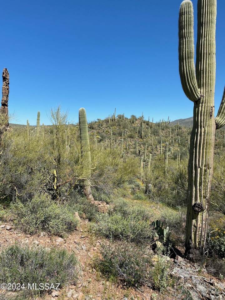  Tbd No Address - Photo 1