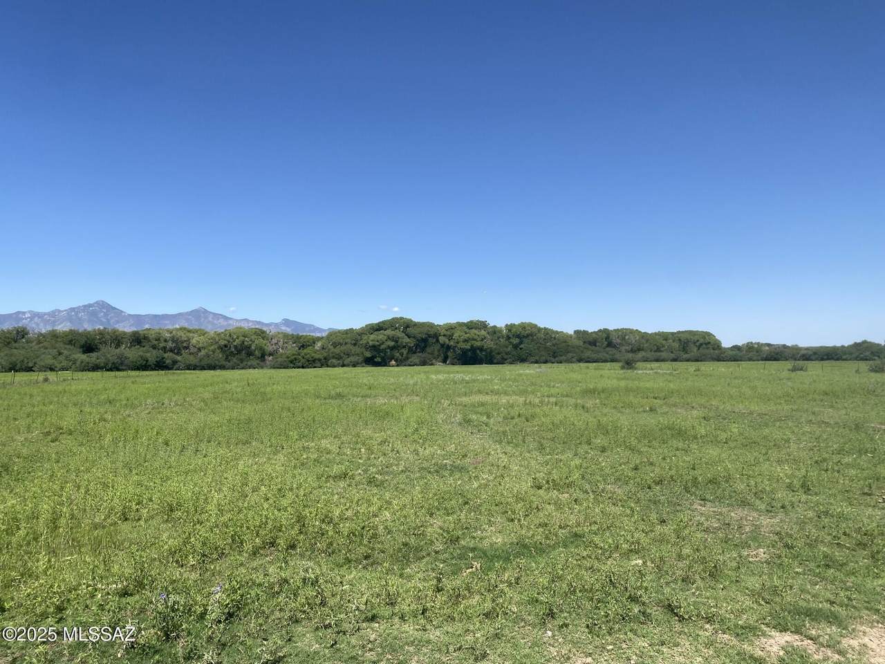 7500 Hereford Road - Photo 1