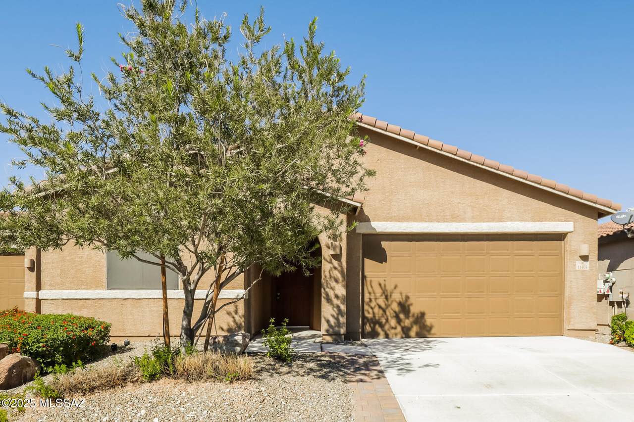 11405 Rincon Range Drive - Photo 1