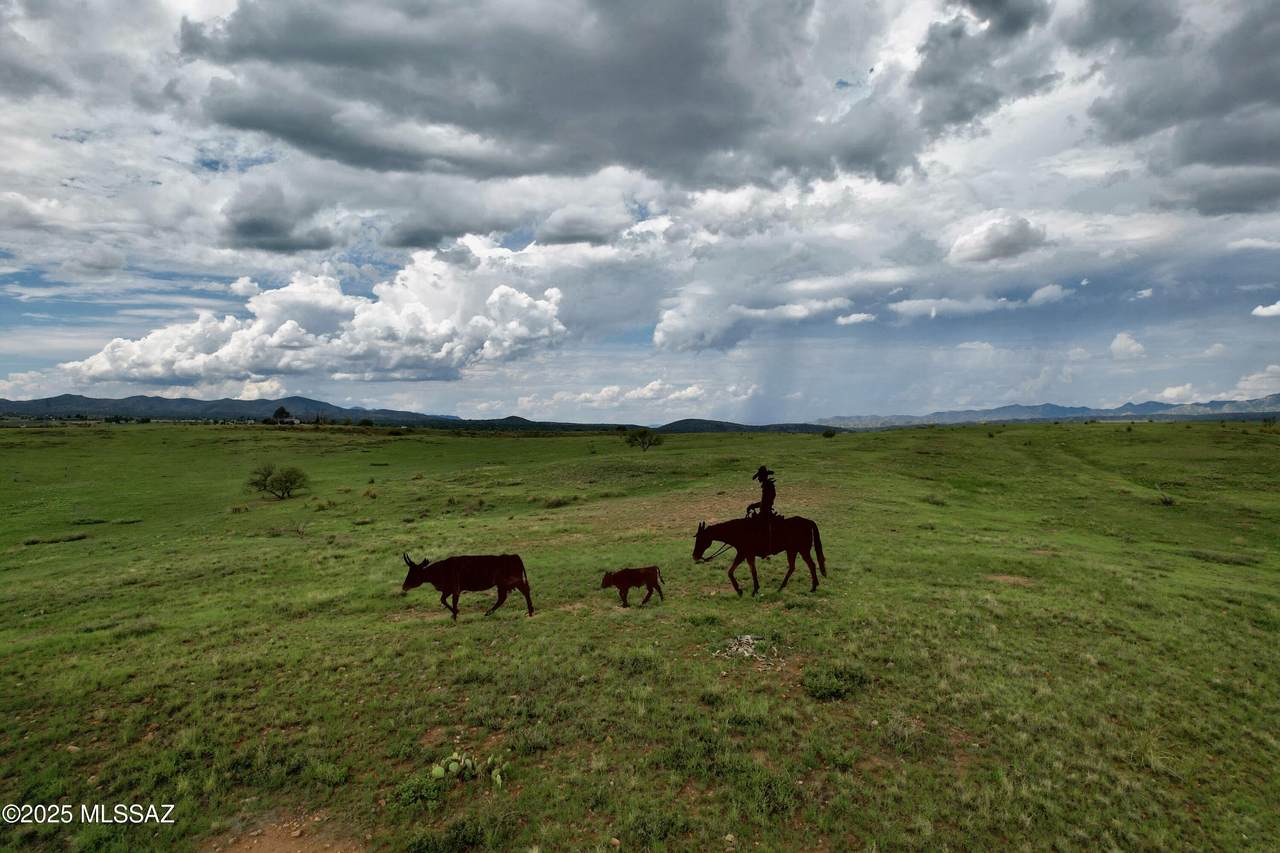  Ranch Oasis - Photo 1