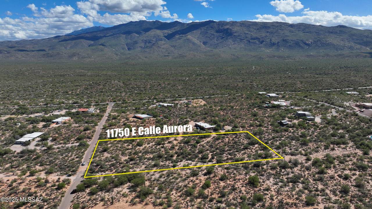 11750 Calle Aurora - Photo 1