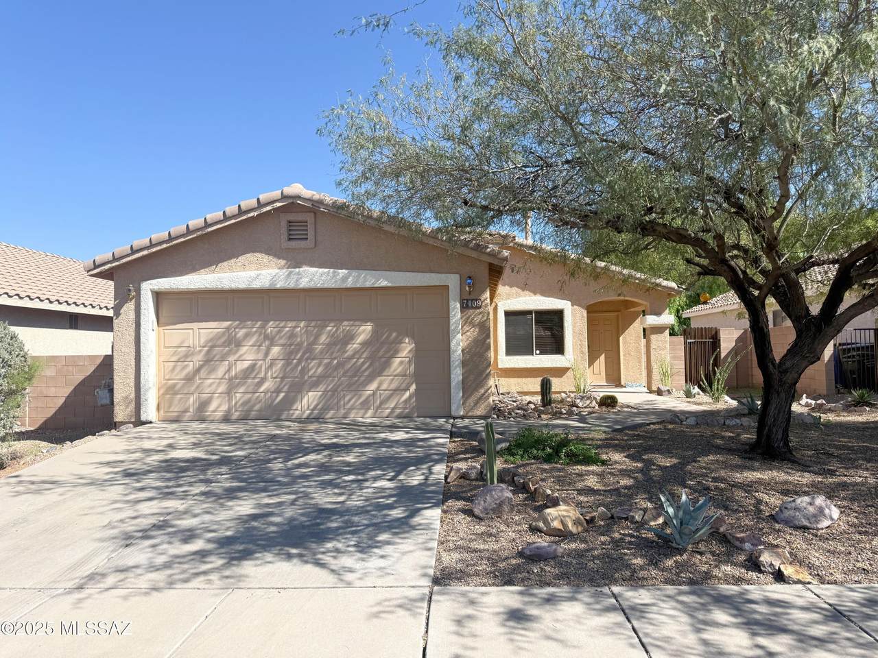 7409 Pacific Willow Drive - Photo 1