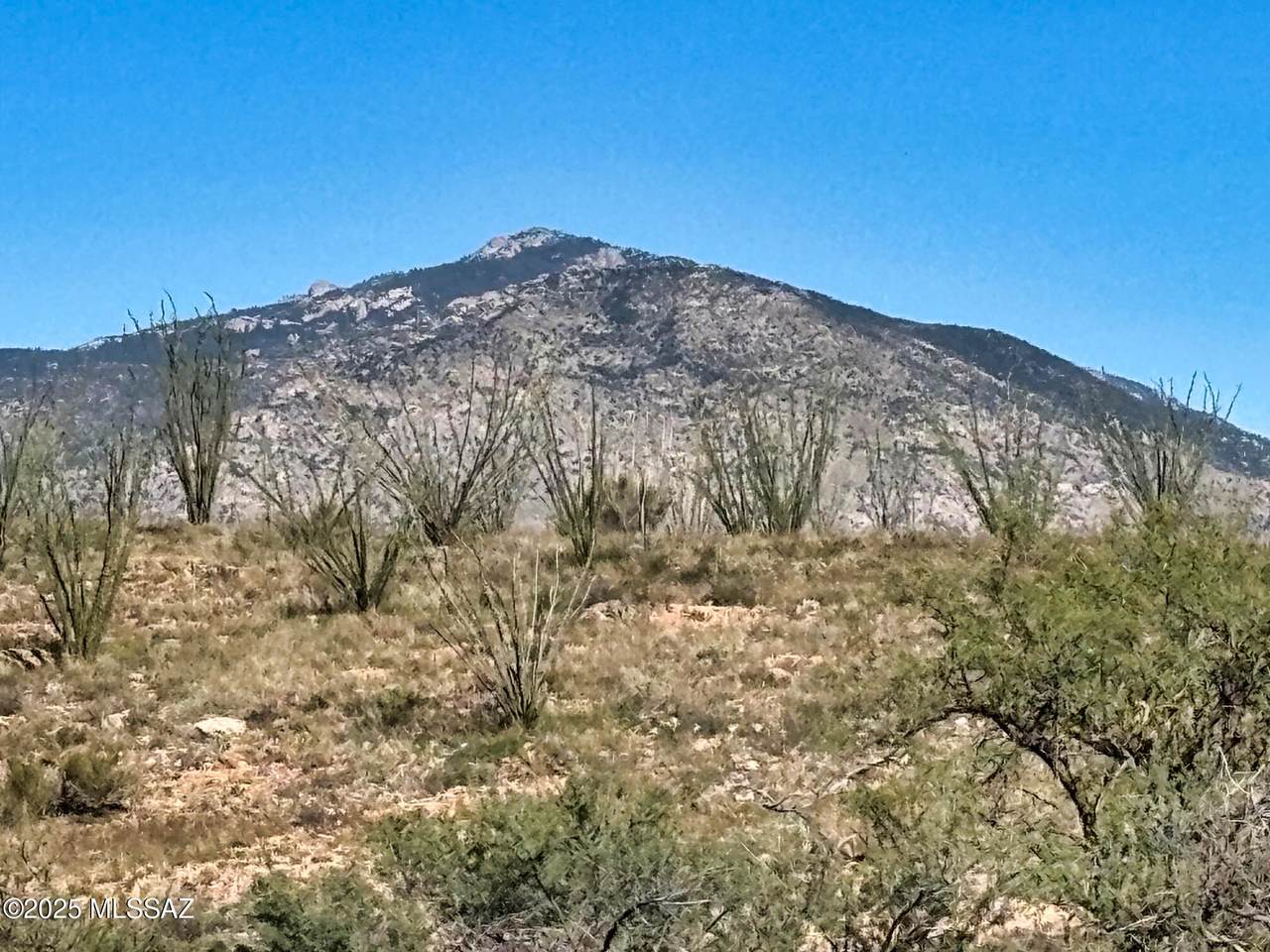 TBD Old Dusty Trail - Photo 1