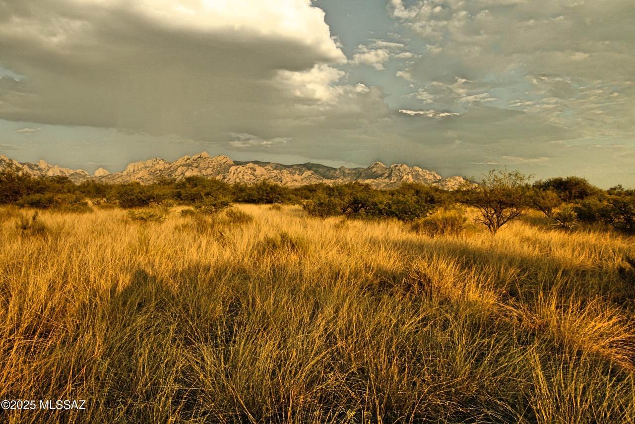 Lot 17 Dragoon Ranch Road - Photo 1