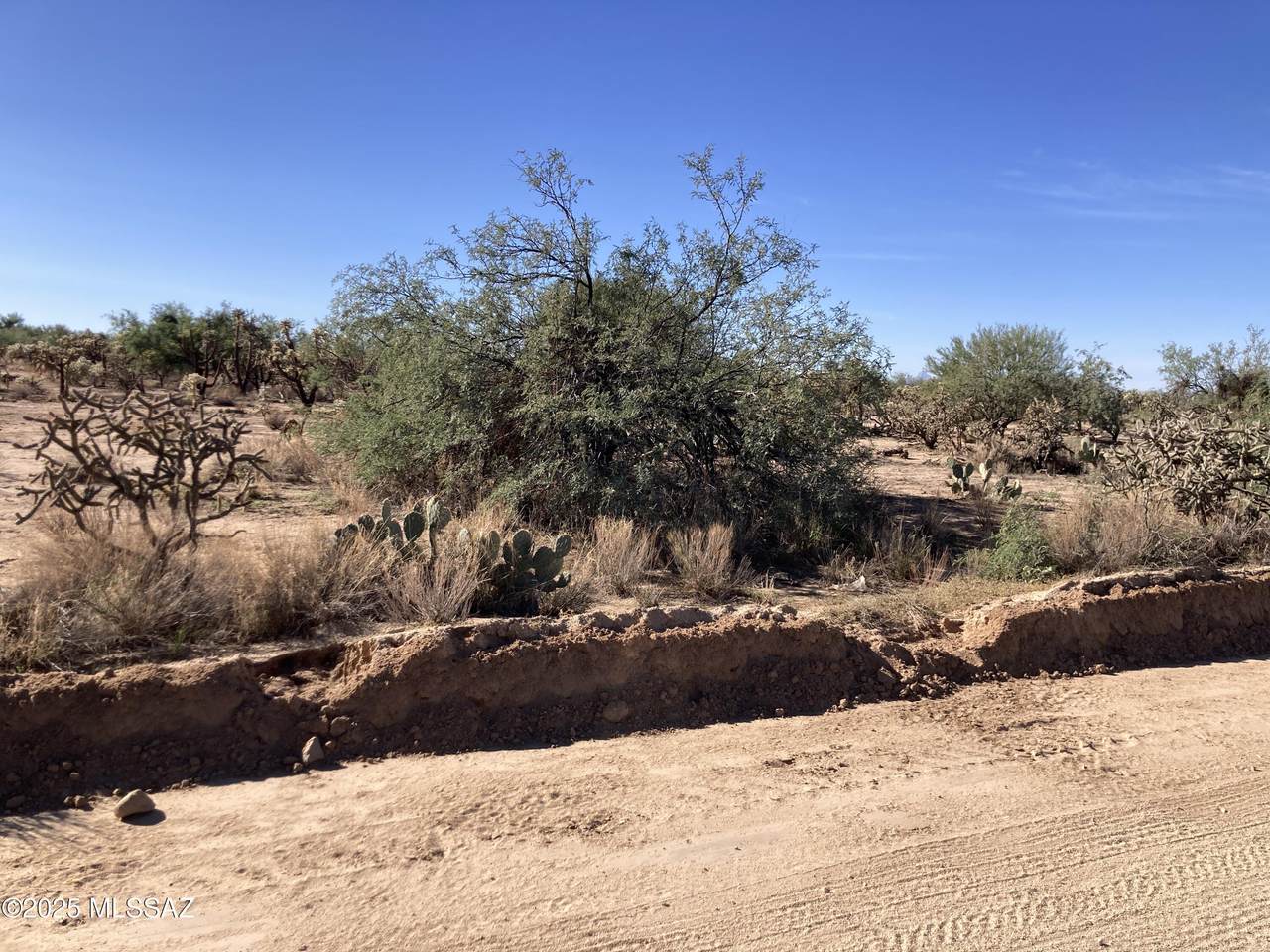 15641&671 Guy Street - Photo 1