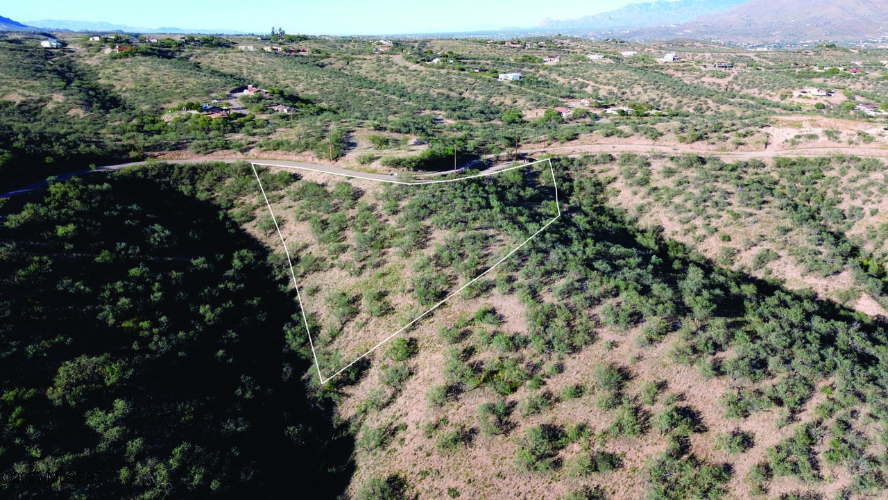 1190 Calle Chaparral - Photo 1