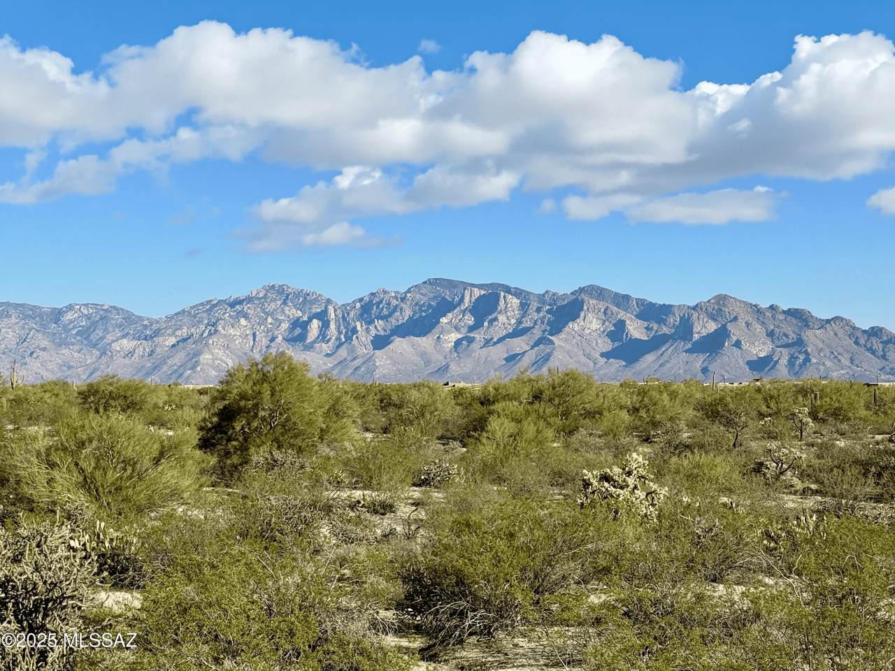 12403 Klos Drive - Photo 1