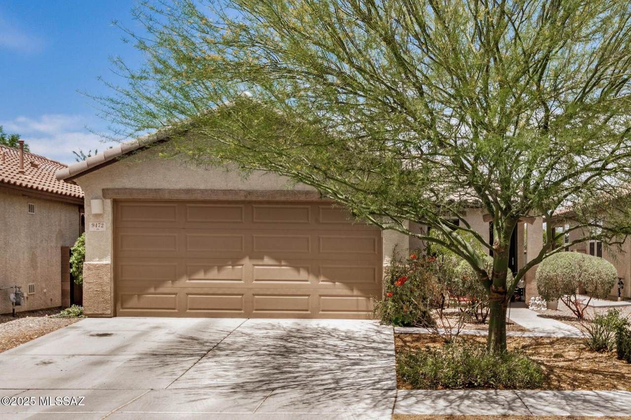 9472 Desert Fauna Loop - Photo 1