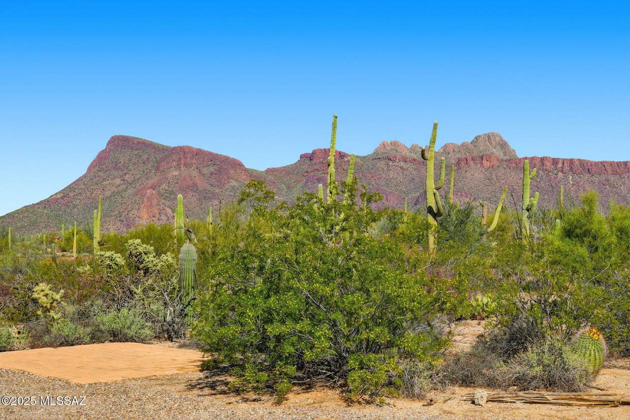 9780 Rudasill Road - Photo 1