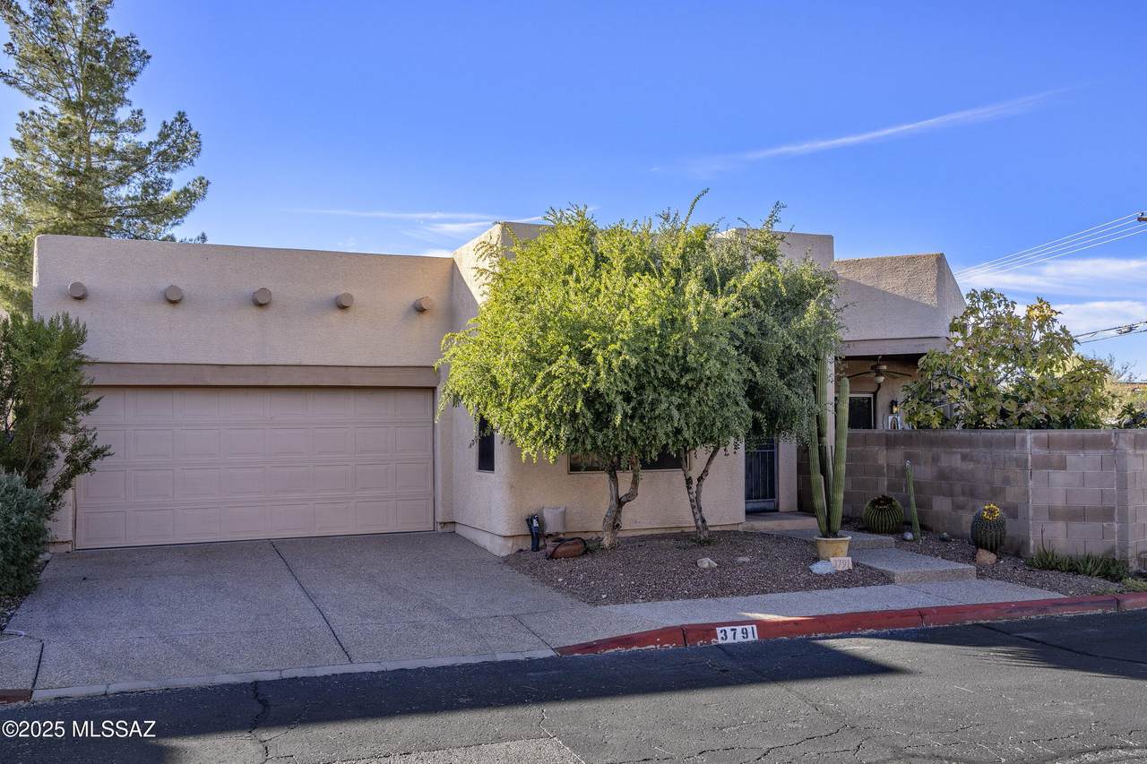 3791 Lost Chestnut Drive - Photo 1