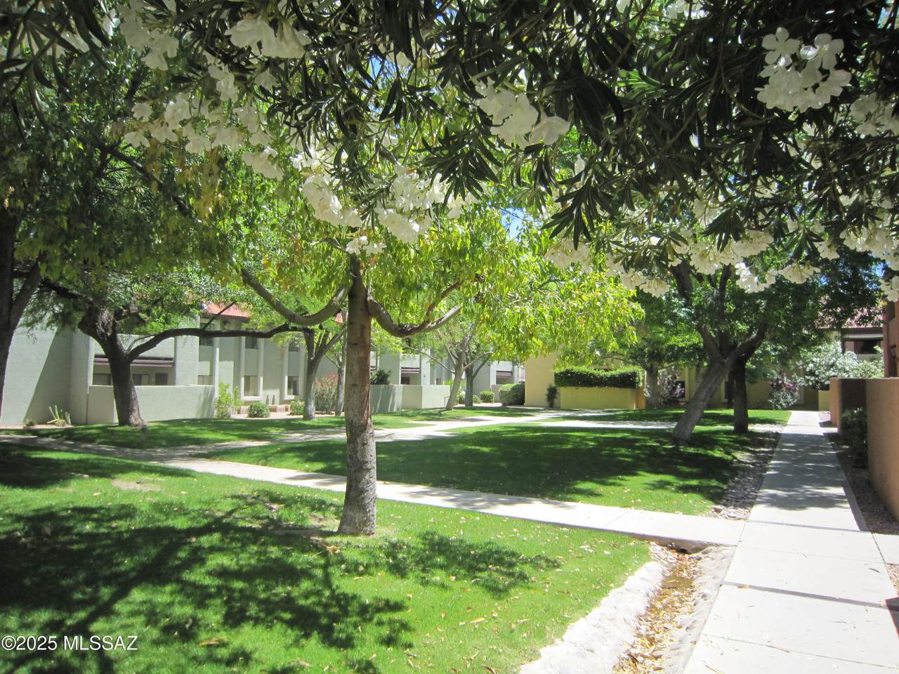 2172 Pantano Road - Photo 1