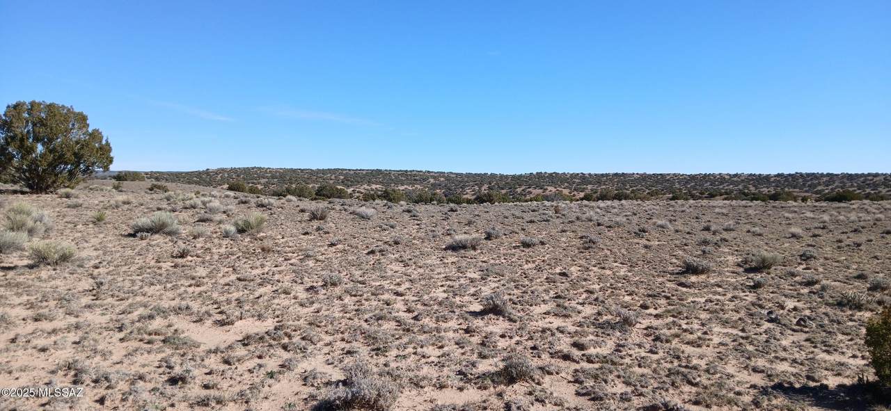 16 Acres Blackfoot Trail - Photo 1