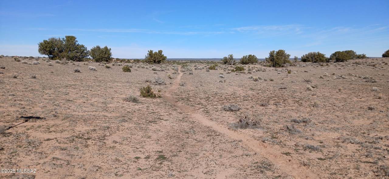 https://bt-photos.global.ssl.fastly.net/tucson/1280_boomver_1_22531602-2.jpg