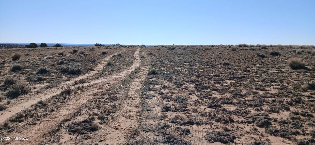 https://bt-photos.global.ssl.fastly.net/tucson/1280_boomver_1_22531602-2.jpg