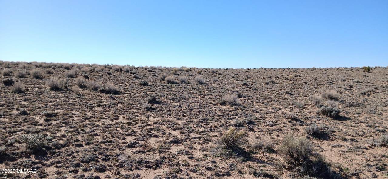 https://bt-photos.global.ssl.fastly.net/tucson/1280_boomver_1_22531602-2.jpg
