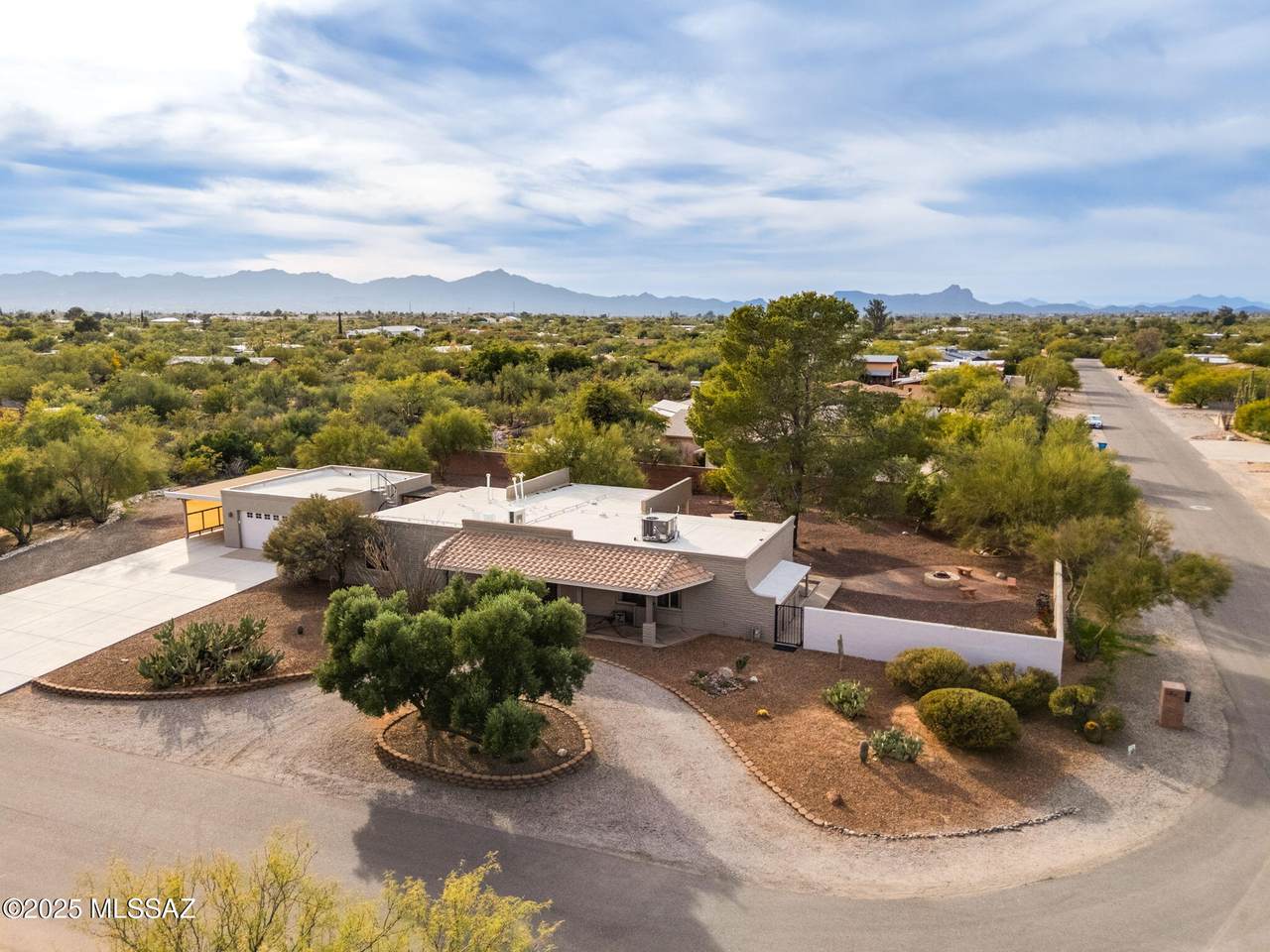 835 Calle Dadivoso - Photo 1