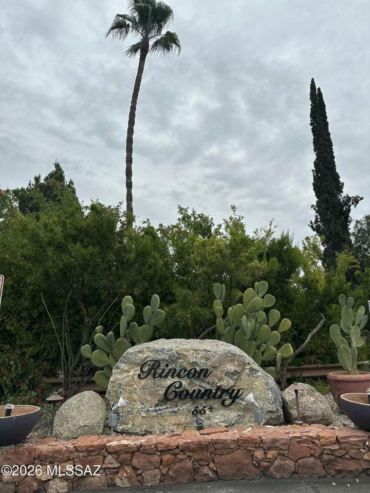 3411 Camino Seco - Photo 1