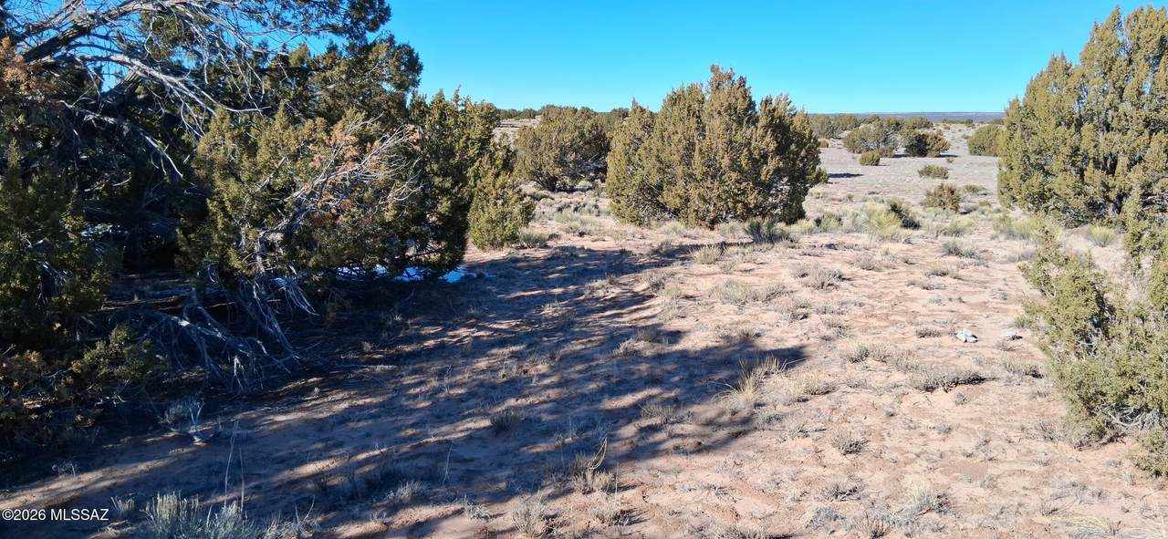 https://bt-photos.global.ssl.fastly.net/tucson/1280_boomver_1_22601514-2.jpg