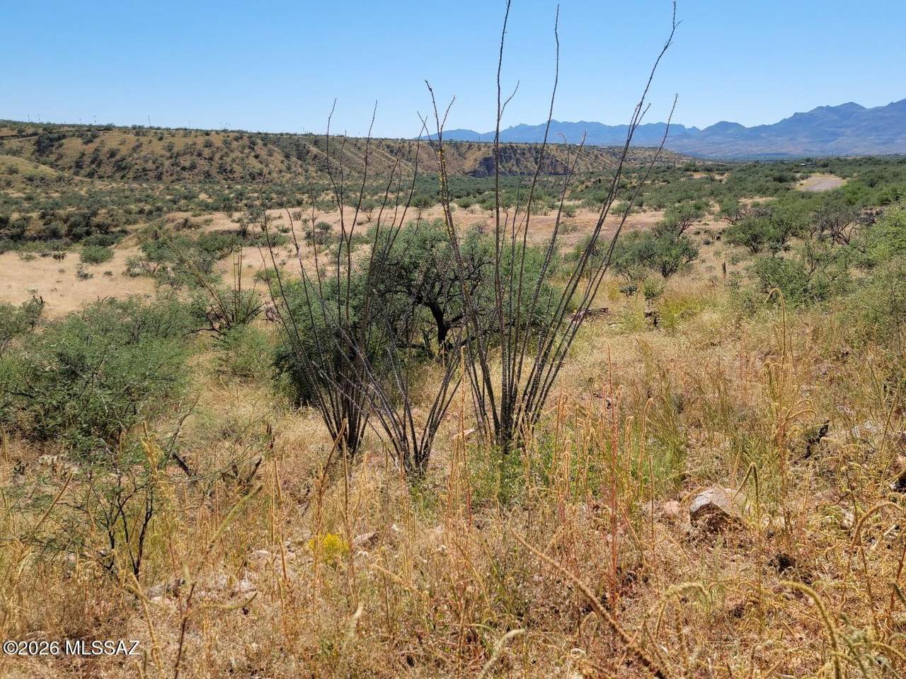 https://bt-photos.global.ssl.fastly.net/tucson/1280_boomver_1_22601929-2.jpg