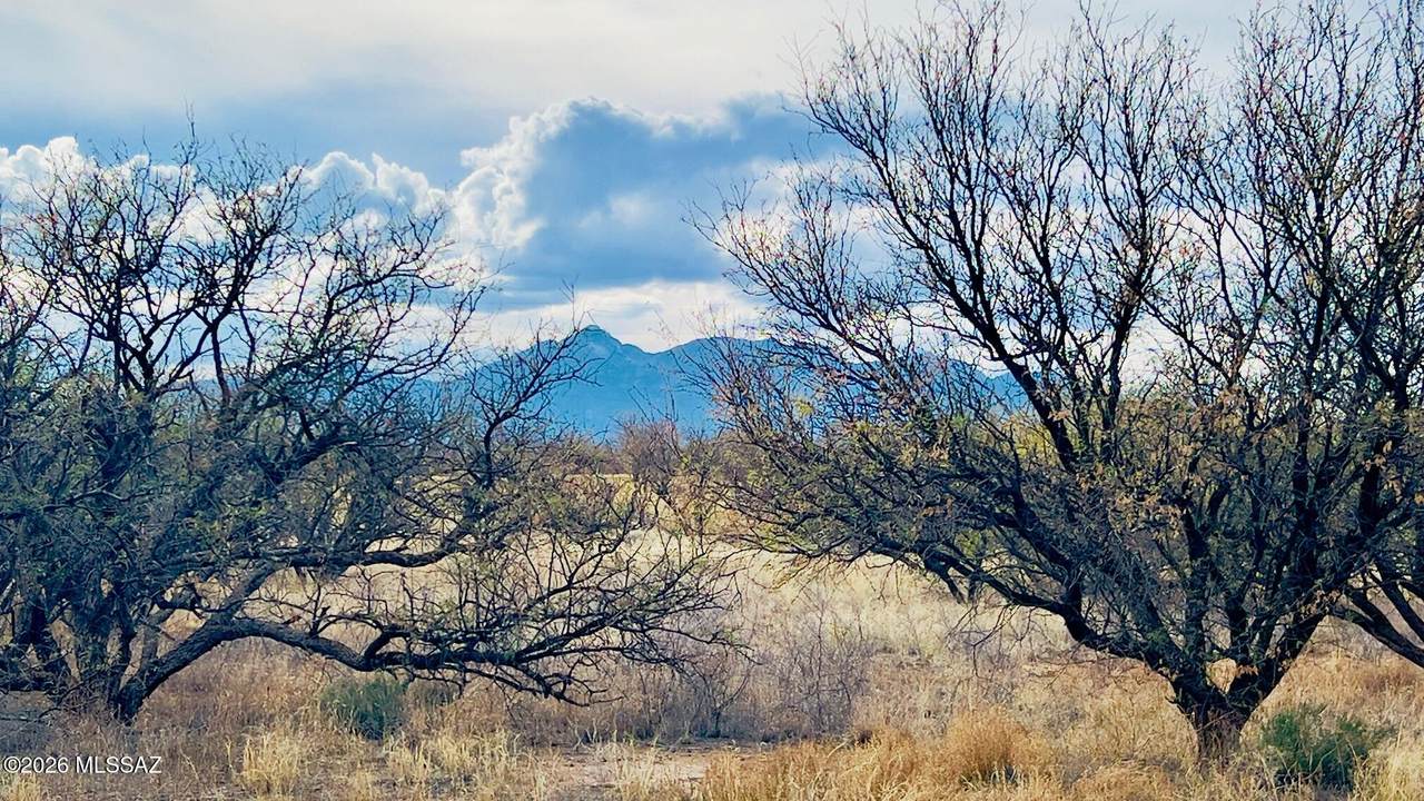 16133 Yucca Ash Farm Road - Photo 1