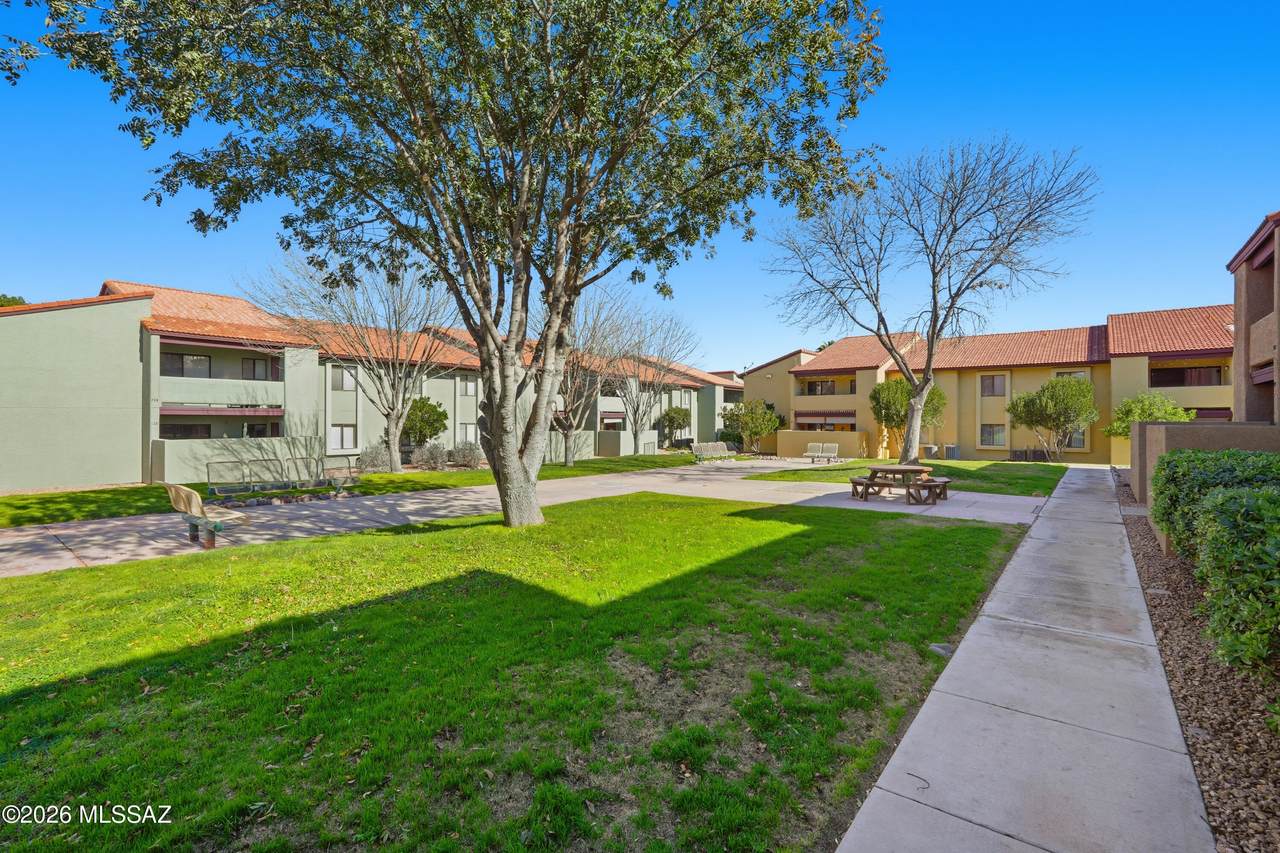 2188 Pantano Road - Photo 1