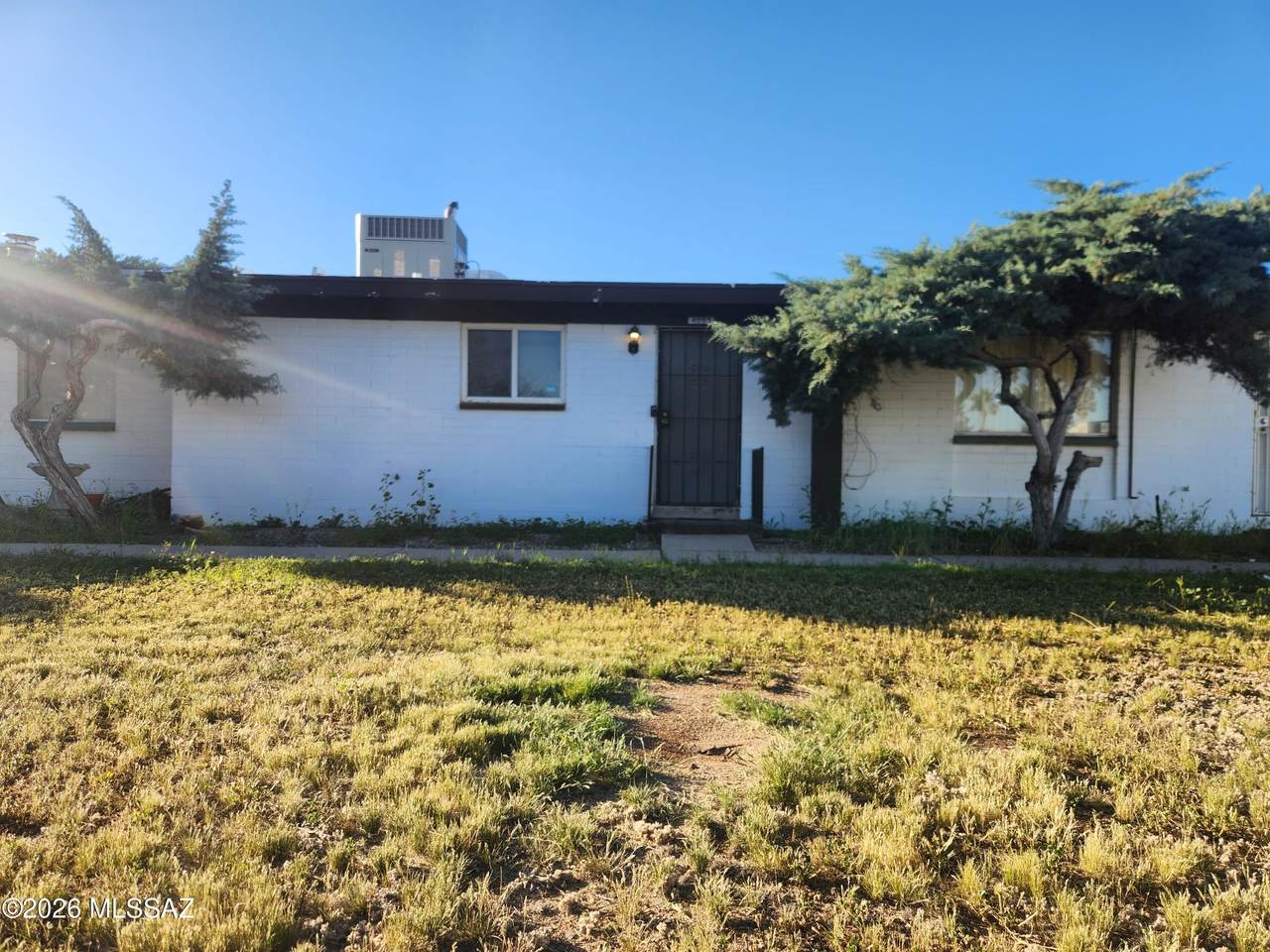 4093 Queen Palm Drive - Photo 1