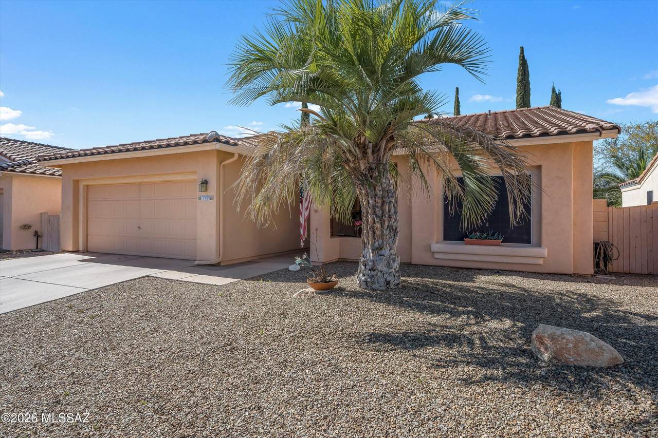 9855 Sun Vista Place - Photo 1