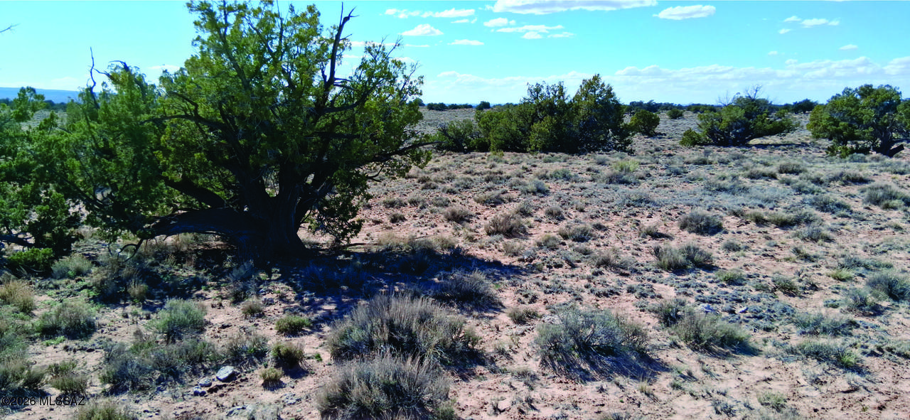 10.1 Acres Unnamed Road - Photo 1