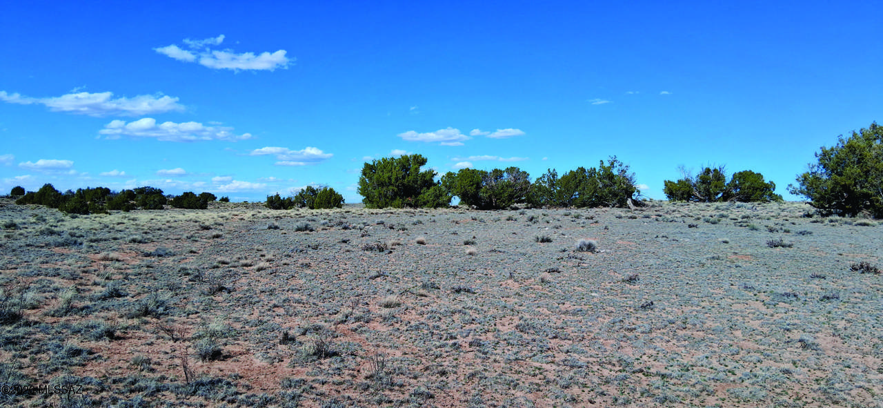 https://bt-photos.global.ssl.fastly.net/tucson/1280_boomver_1_22606466-2.jpg