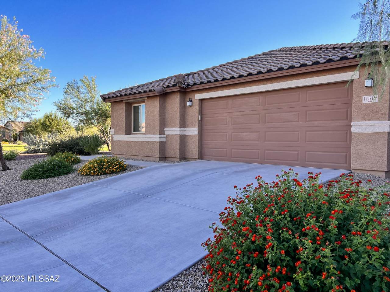 11519 Boll Bloom Drive - Photo 1