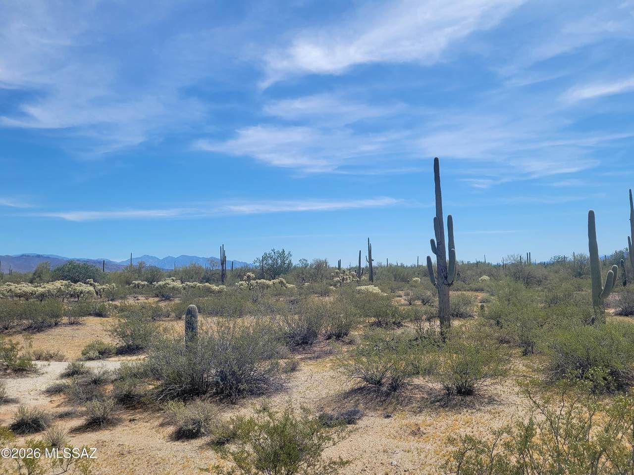 https://bt-photos.global.ssl.fastly.net/tucson/1280_boomver_1_22607111-2.jpg