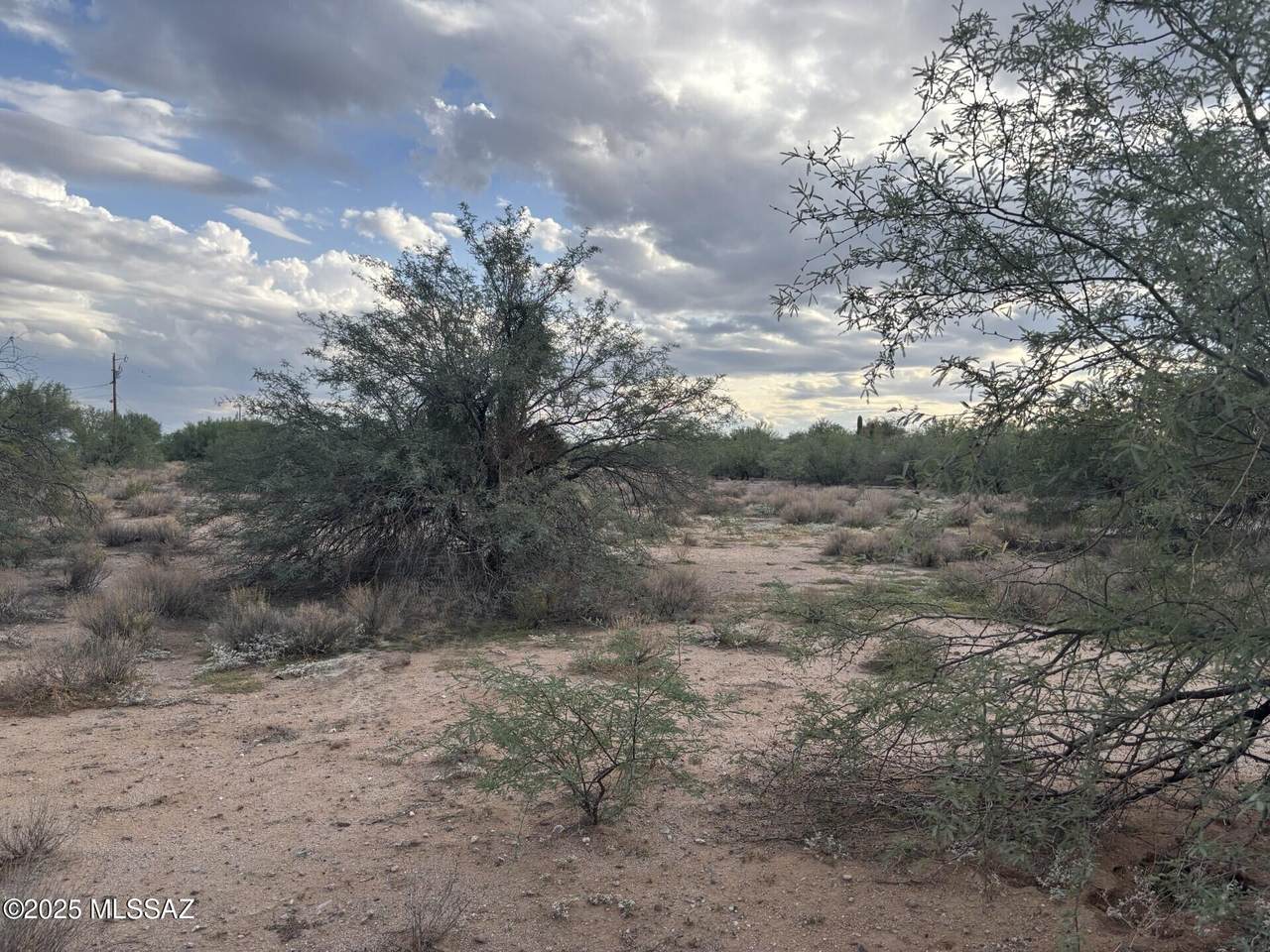 16035 El Tiro Road - Photo 1