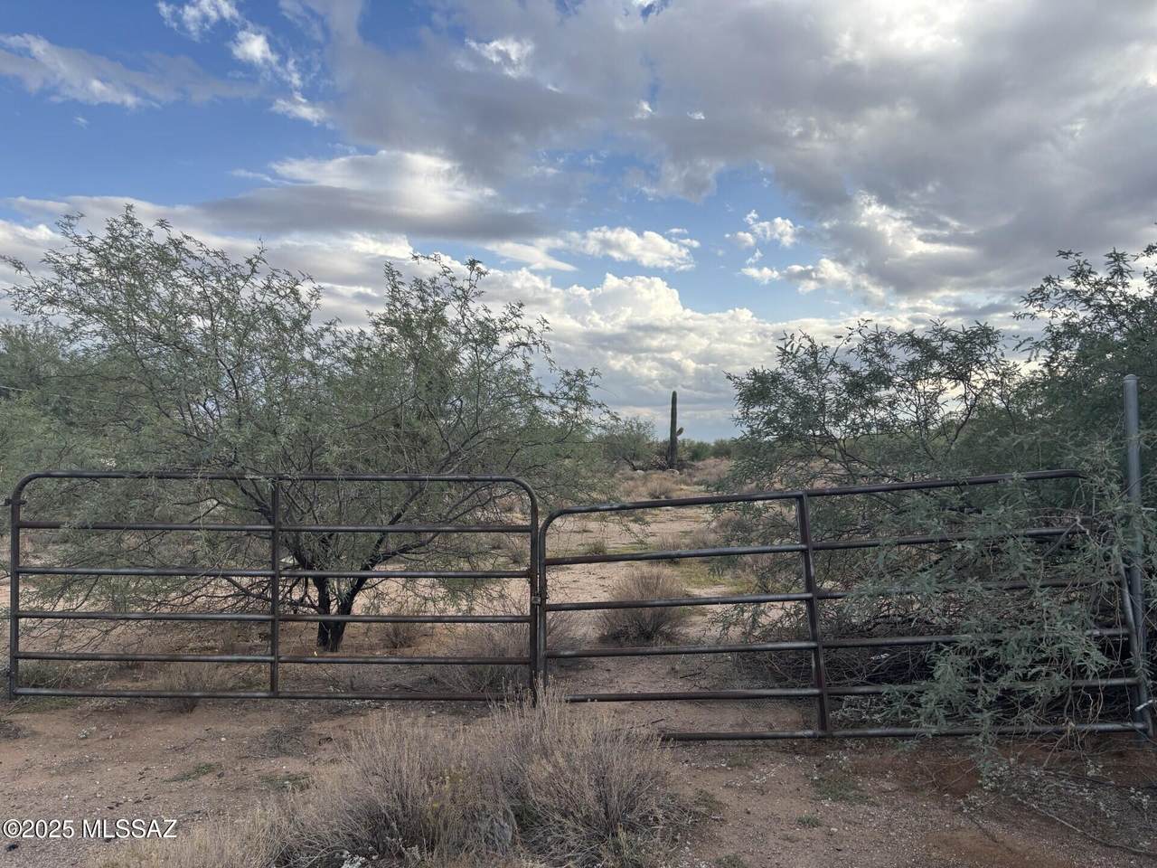 https://bt-photos.global.ssl.fastly.net/tucson/1280_boomver_1_22607145-2.jpg
