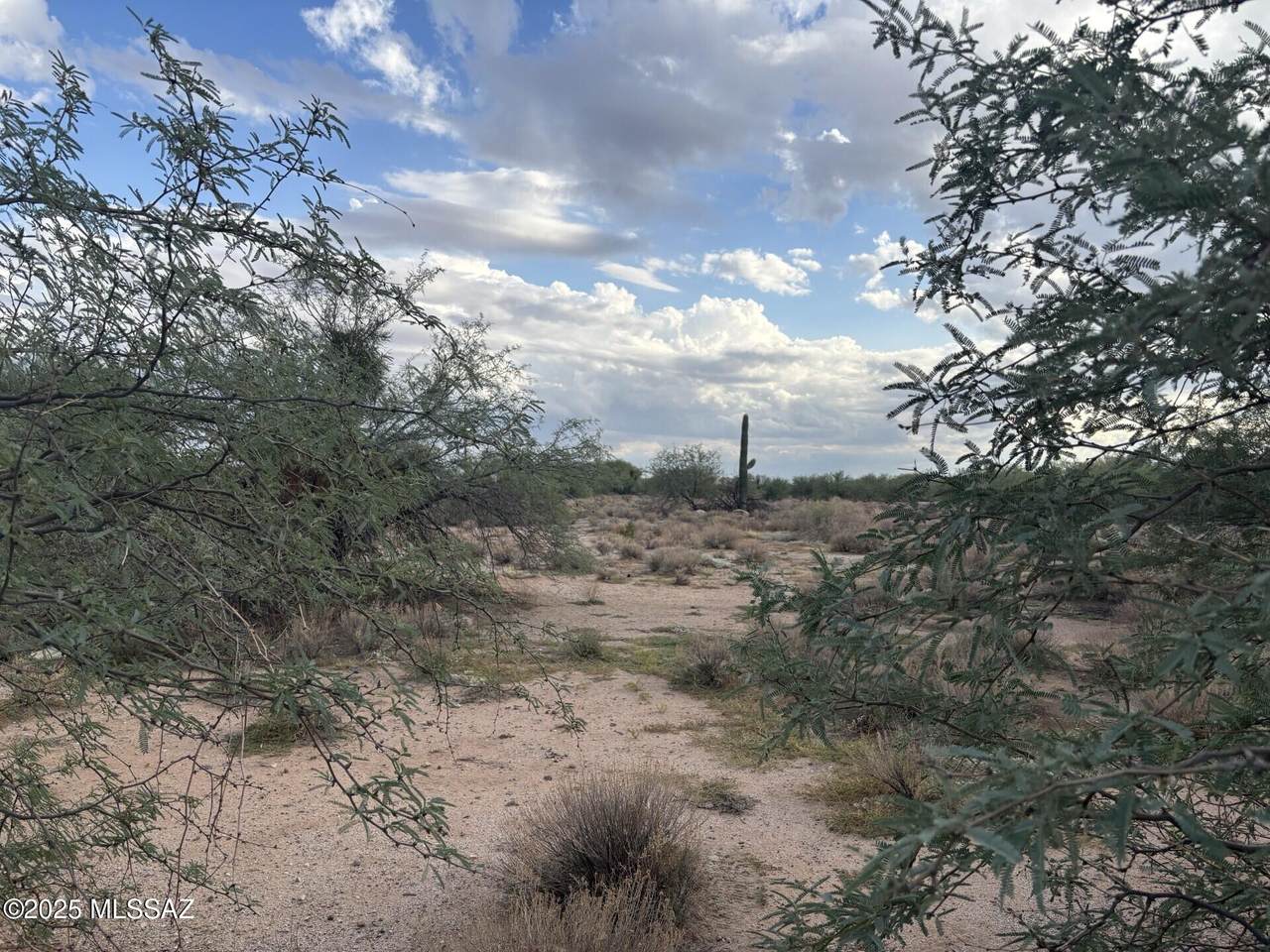 https://bt-photos.global.ssl.fastly.net/tucson/1280_boomver_1_22607145-2.jpg