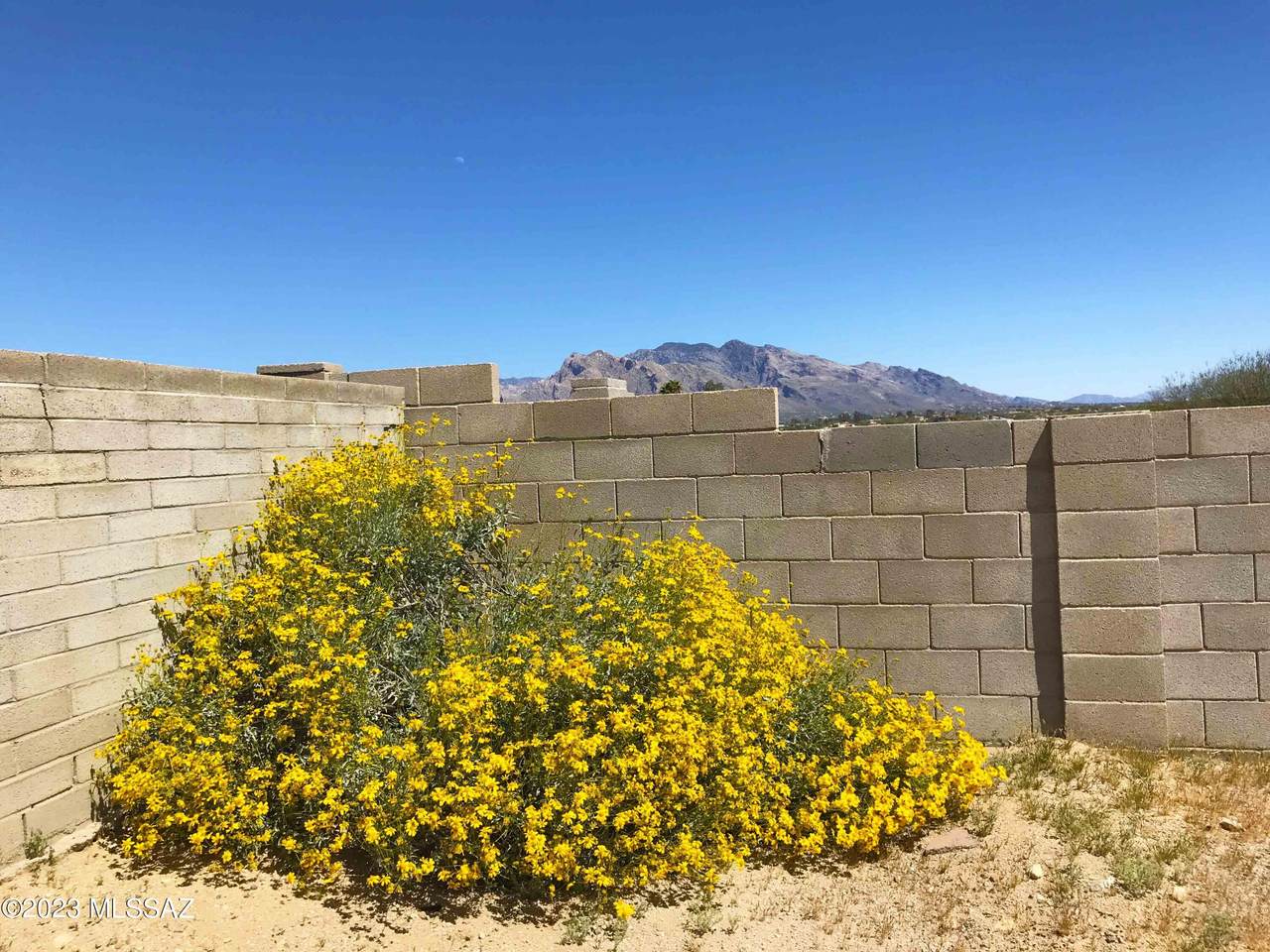 https://bt-photos.global.ssl.fastly.net/tucson/1280_boomver_1_22607243-2.jpg