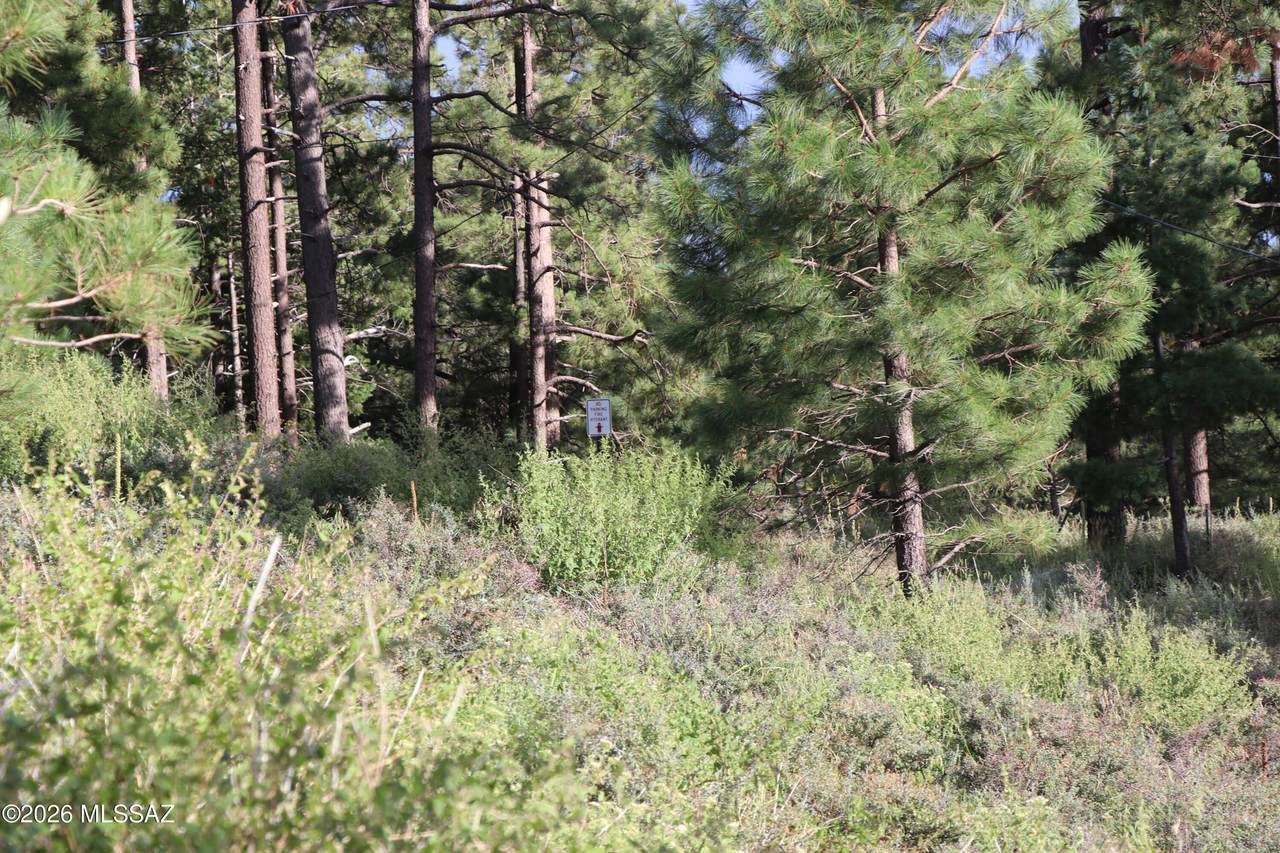 https://bt-photos.global.ssl.fastly.net/tucson/1280_boomver_2_22607349-2.jpg
