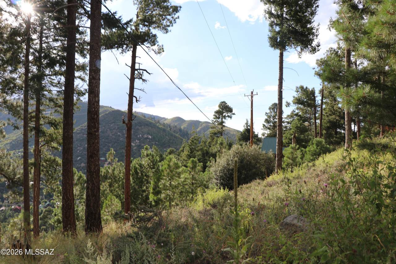 https://bt-photos.global.ssl.fastly.net/tucson/1280_boomver_2_22607349-2.jpg