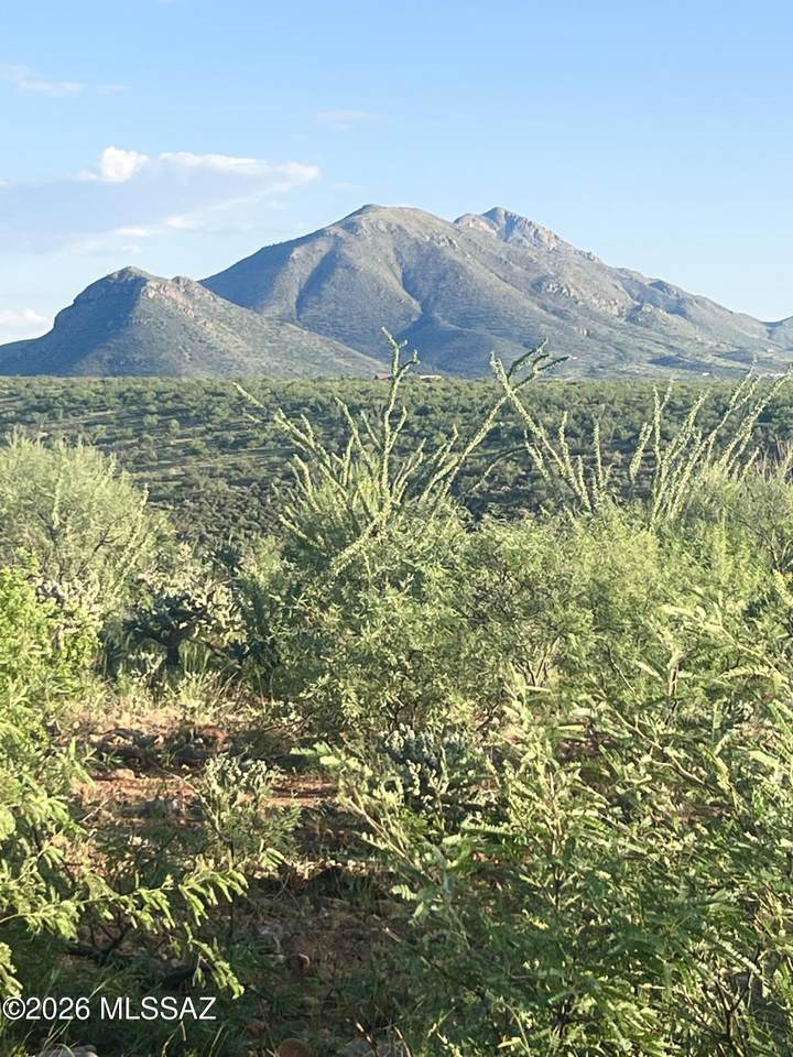 https://bt-photos.global.ssl.fastly.net/tucson/1280_boomver_1_22607609-2.jpg