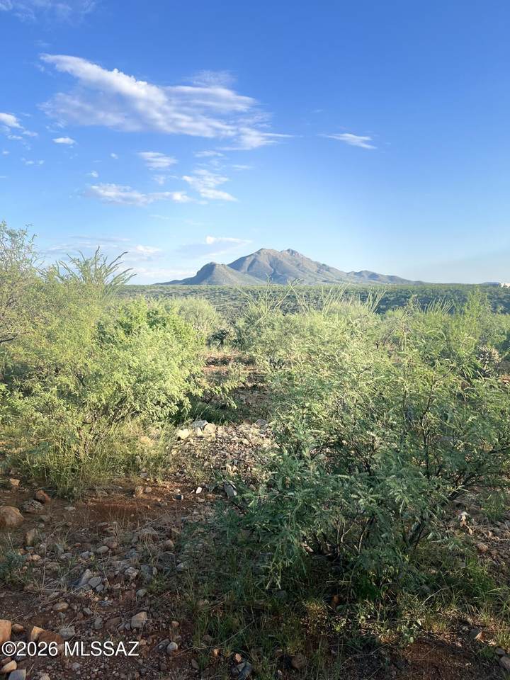 https://bt-photos.global.ssl.fastly.net/tucson/1280_boomver_1_22607609-2.jpg