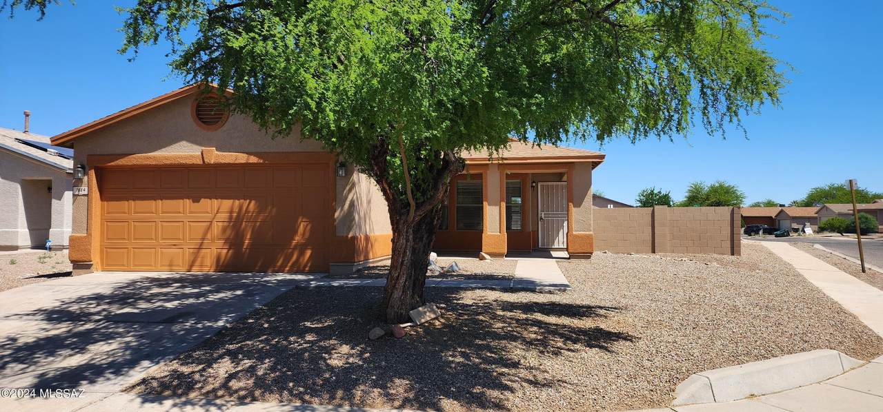 1684 Summer Dawn Drive - Photo 1